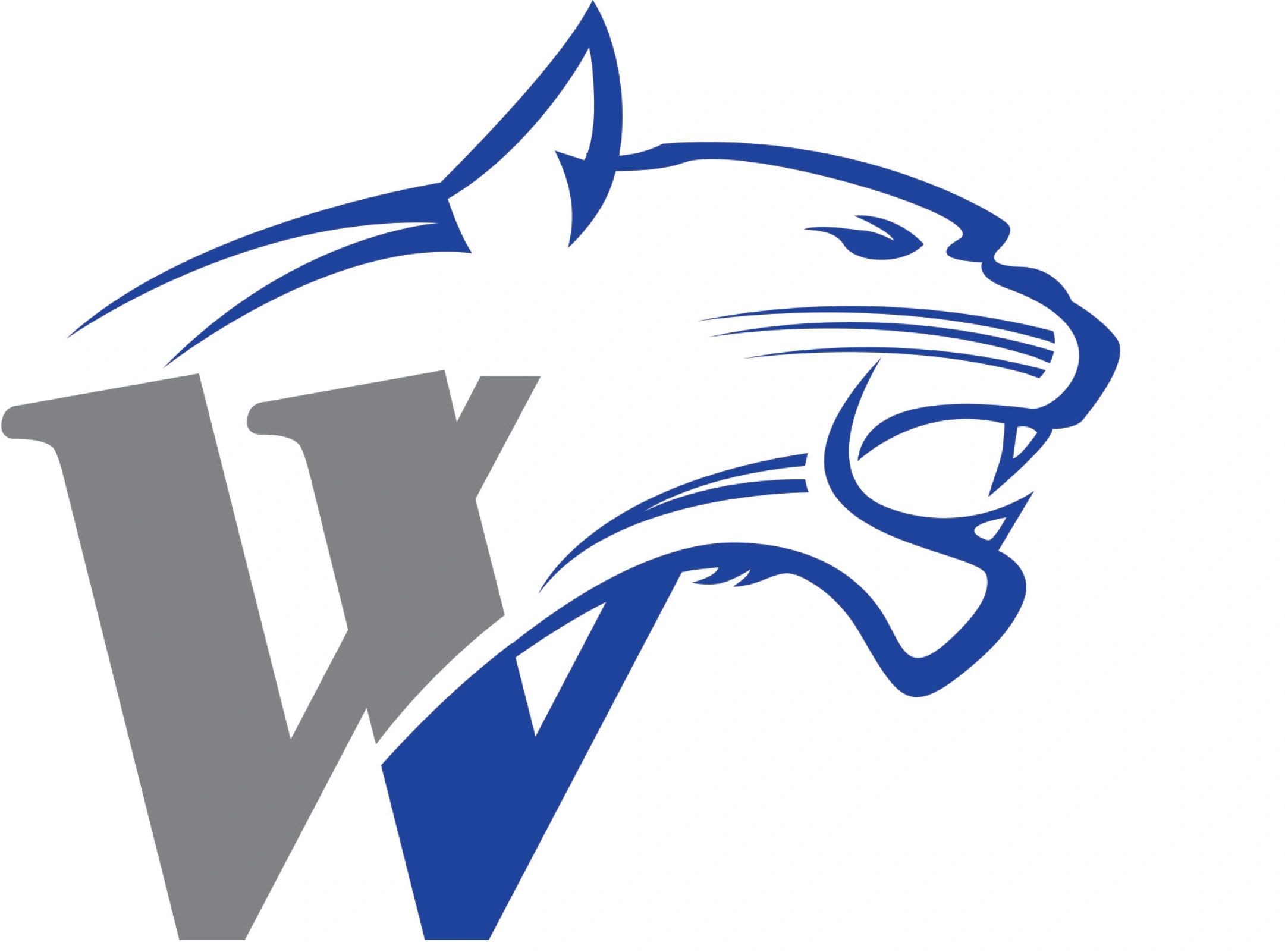Online payment Whitney Independent School District